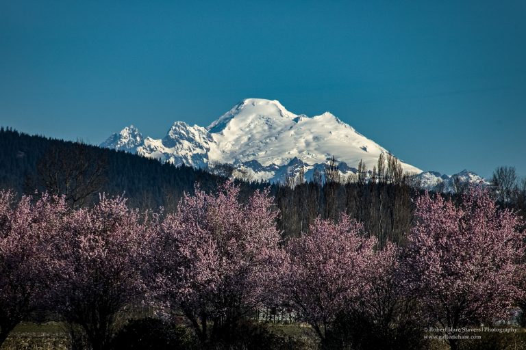 Mountain Vistas-5.jpg