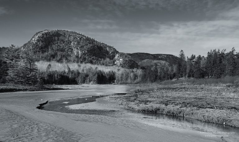 Winter at the Waters Edge-19-2.jpg Winter at the Waters Edge-19-2.jpg