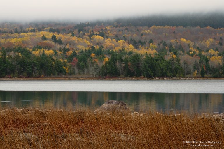202510 Acadia National Park-2.jpg 202510 Acadia National Park-2.jpg